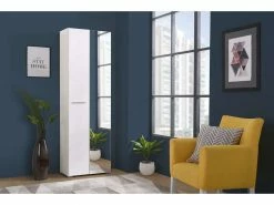 Armoire 1 Porte Et 1 Miroir