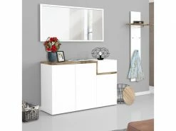 AHD_AMAZING_HOME_DESIGN Meuble à Chaussures 3 Portes 22 Paires De Chaussures Design Moderne Entrée Zet Bata Acero L