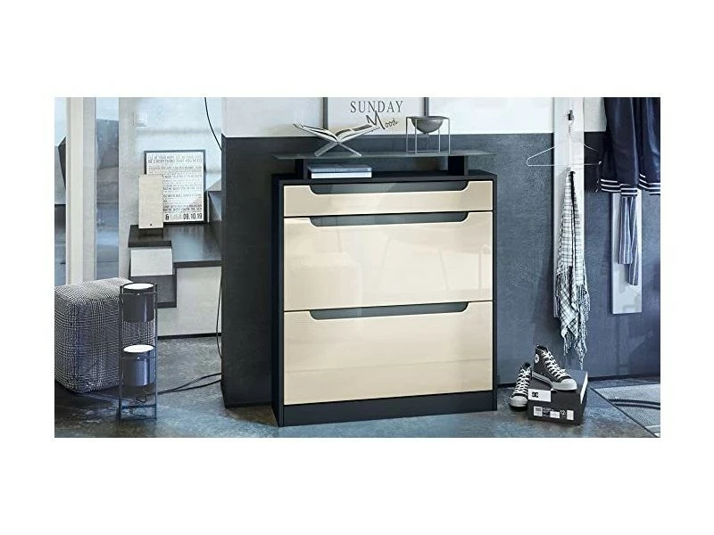 Meuble à Chaussures Noir Mat/crème Haute Brillance, Poignées Encastrées En Gris Haute Brillance (89 X 104 X 23 Cm)