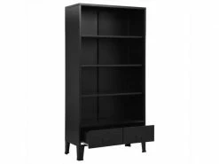 Icaverne - Bibliothèques Reference Bibliothèque Industrielle Noir 90x40x180 Cm Acier