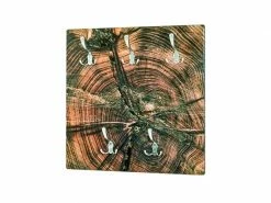 Admirable Nuancemeuble Garderobe Murale Erevan Nature-optique Inox L60 X P9 X H60 Cm